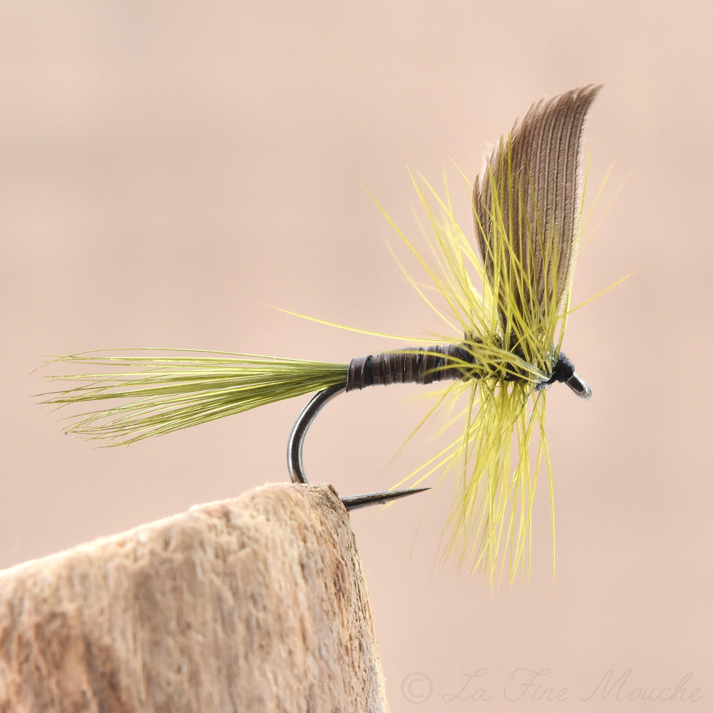 Mouche Sèche - Blue Winged Olive