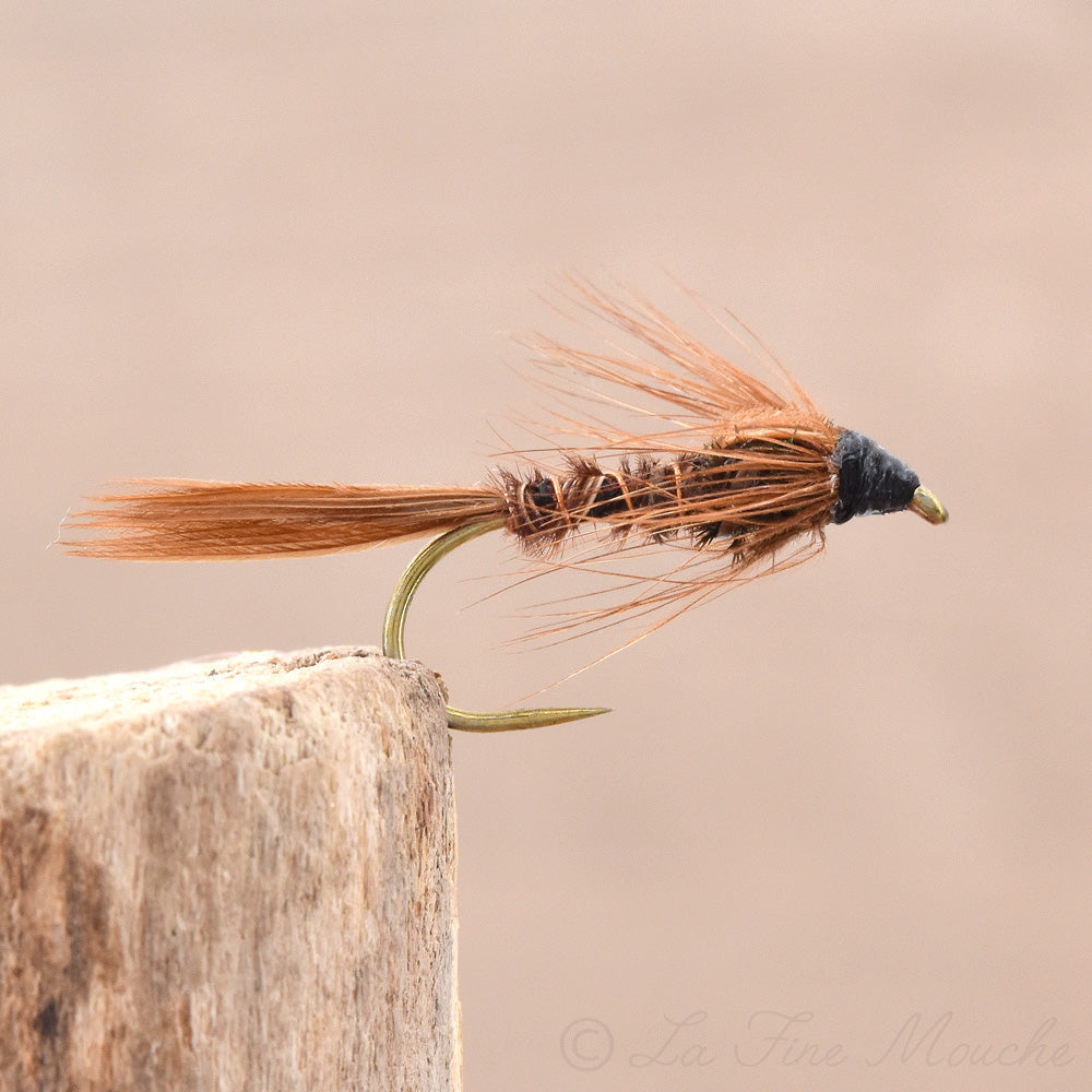 Nymphe légère "Classic Pheasant Tail"