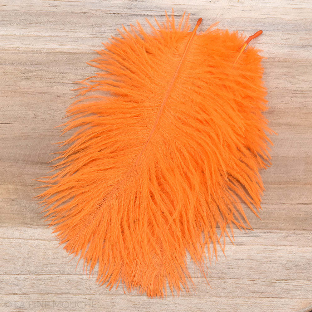 Ostrich Feathers 15-20cm - Pack of 10 feathers