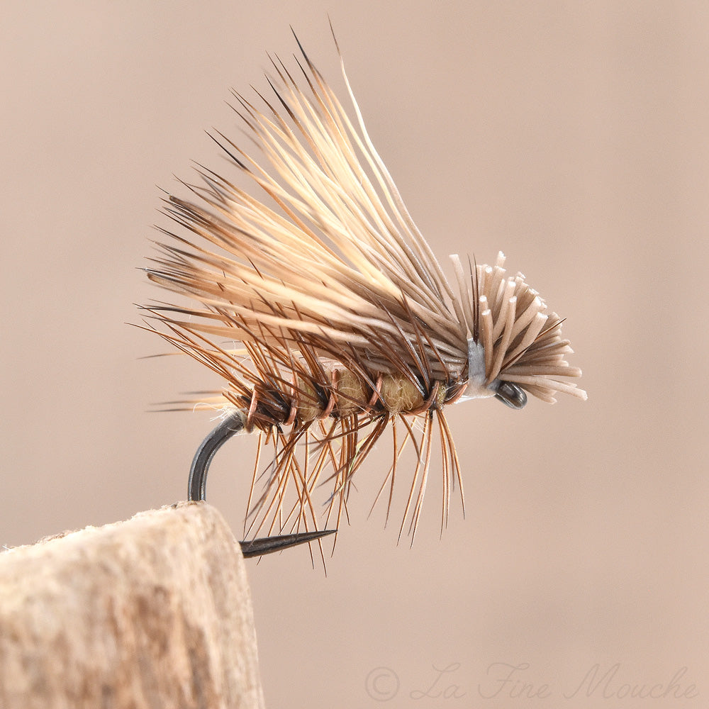 Mouche Sèche - Sedge Elk Hair Caddis Tan