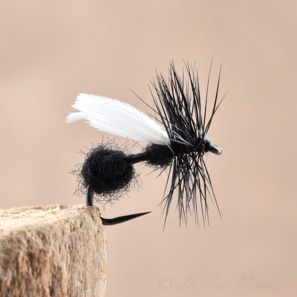 Dry Fly - Black Ant Winged